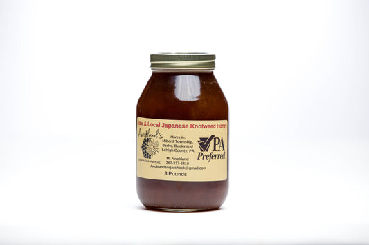 3lb Glass Jar of Japanese Knotweed